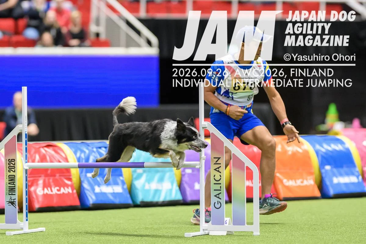 Agility in gara: cane e conduttore su un salto Galican. Foto JAM / Yasuhiro Ohori.