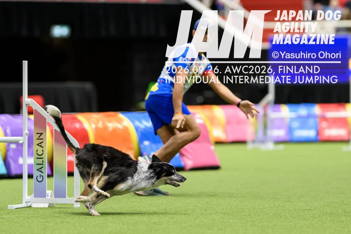 Cane e conduttore dopo un salto in gara. Foto JAM / Yasuhiro Ohori.